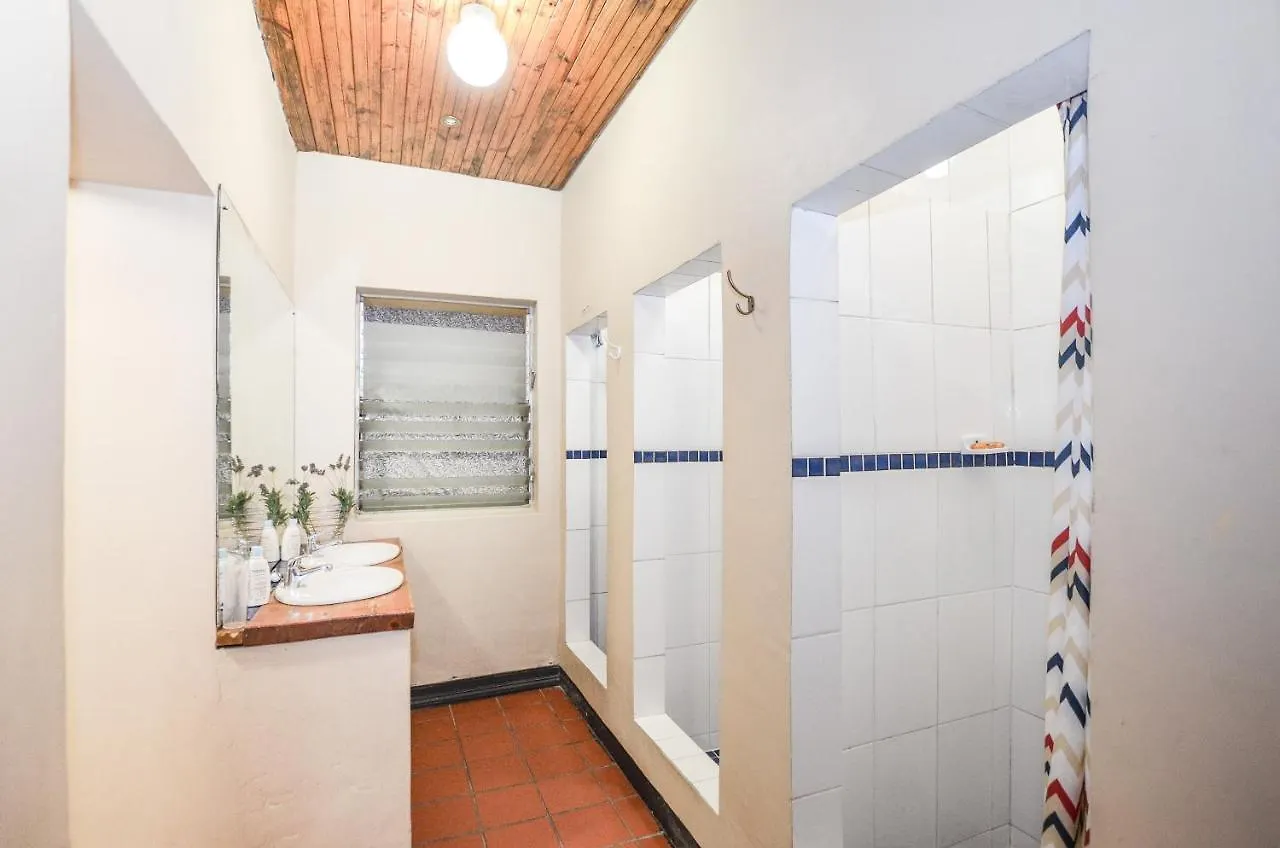 Hostel Oak Lodge Backpackers Cape Town South Africa